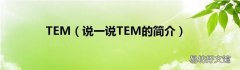 说一说TEM的简介 TEM