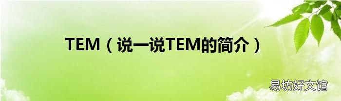 说一说TEM的简介 TEM