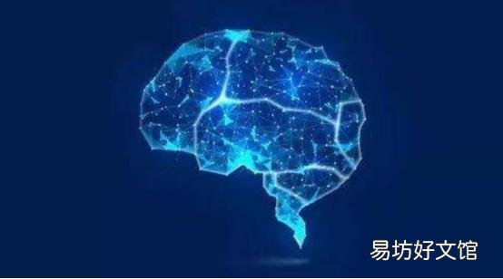 从Juniper Mist传输Vervaeke利用AI驱动的网络来简化运营
