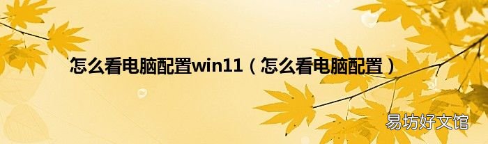怎么看电脑配置 怎么看电脑配置win11