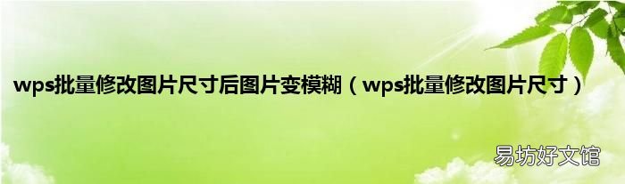 wps批量修改图片尺寸 wps批量修改图片尺寸后图片变模糊