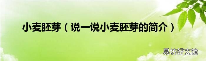 说一说小麦胚芽的简介 小麦胚芽