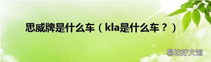 kla是什么车? 思威牌是什么车