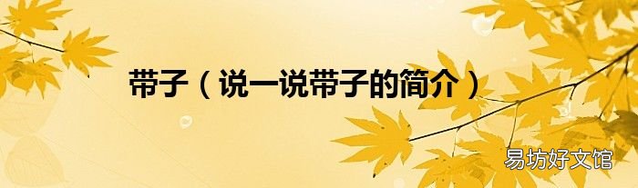 说一说带子的简介 带子