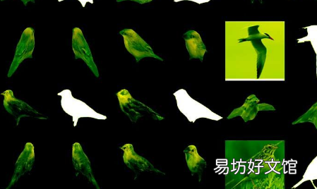 新的人工智能可以从一张2D图像中创建物体的3D模型