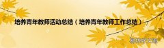 培养青年教师工作总结 培养青年教师活动总结