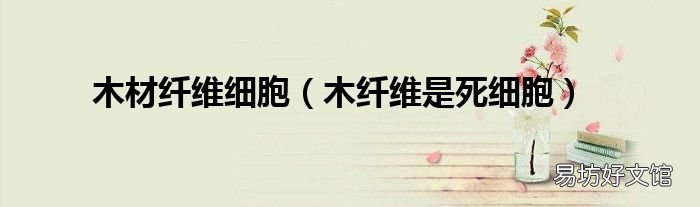 木纤维是死细胞 木材纤维细胞