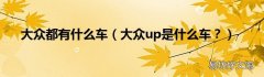 大众up是什么车？ 大众都有什么车