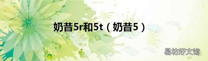 奶昔5 奶昔5r和5t