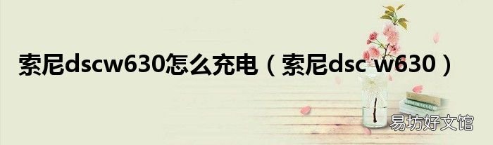 索尼dsc w630 索尼dscw630怎么充电