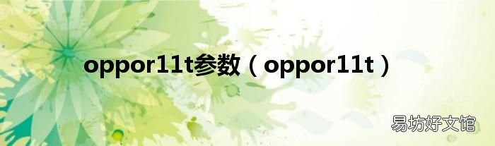 oppor11t oppor11t参数
