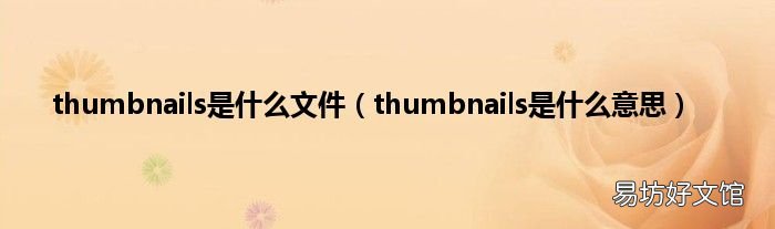 thumbnails是什么意思 thumbnails是什么文件