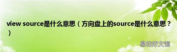 方向盘上的source是什么意思? view source是什么意思
