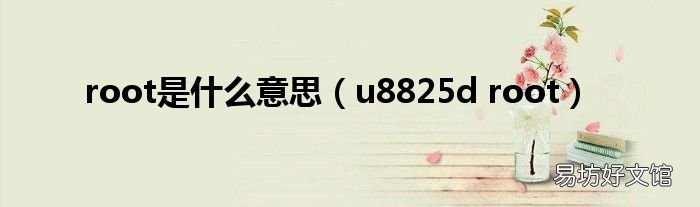 u8825d root root是什么意思