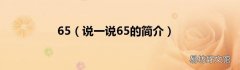 说一说65的简介 65