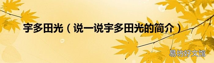 说一说宇多田光的简介 宇多田光