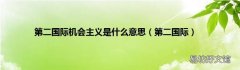 第二国际 第二国际机会主义是什么意思