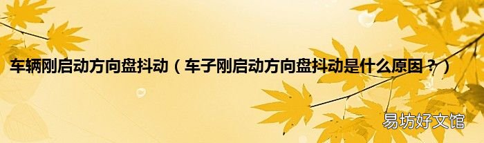 车子刚启动方向盘抖动是什么原因? 车辆刚启动方向盘抖动