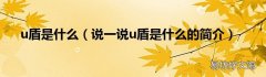 说一说u盾是什么的简介 u盾是什么
