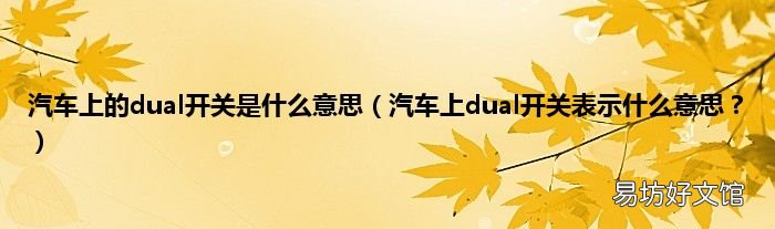 汽车上dual开关表示什么意思? 汽车上的dual开关是什么意思