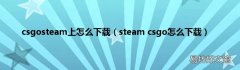 steam csgo怎么下载 csgosteam上怎么下载