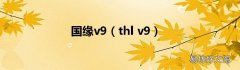 thl v9 国缘v9
