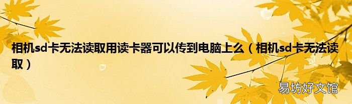 相机sd卡无法读取 相机sd卡无法读取用读卡器可以传到电脑上么
