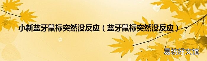 蓝牙鼠标突然没反应 小新蓝牙鼠标突然没反应