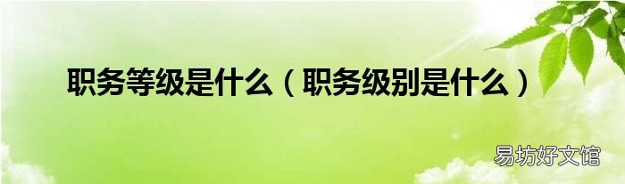 职务级别是什么 职务等级是什么
