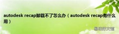 autodesk recap有什么用 autodesk recap卸载不了怎么办