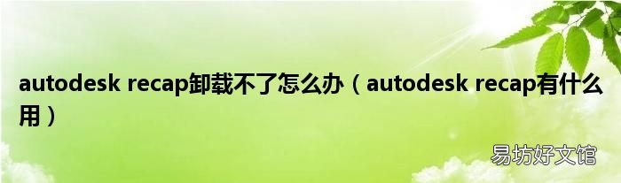 autodesk recap有什么用 autodesk recap卸载不了怎么办