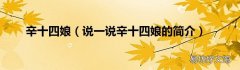 说一说辛十四娘的简介 辛十四娘