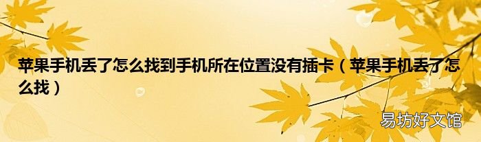 苹果手机丢了怎么找 苹果手机丢了怎么找到手机所在位置没有插卡