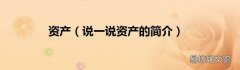 说一说资产的简介 资产