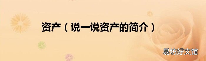 说一说资产的简介 资产