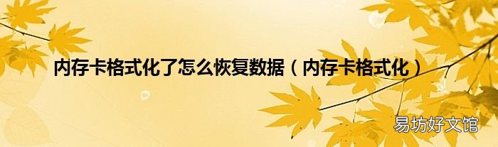 内存卡格式化 内存卡格式化了怎么恢复数据