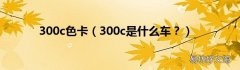 300c是什么车？ 300c色卡