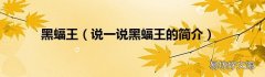 说一说黑蝠王的简介 黑蝠王