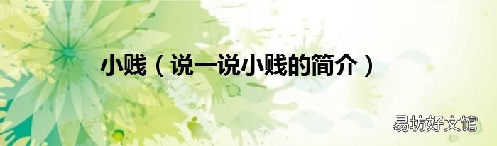 说一说小贱的简介 小贱