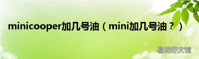 mini加几号油? minicooper加几号油