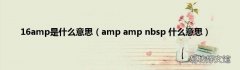 amp amp nbsp 什么意思 16amp是什么意思