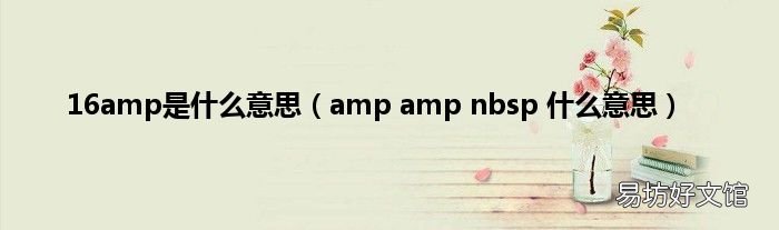 amp amp nbsp 什么意思 16amp是什么意思