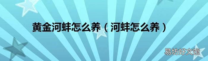 河蚌怎么养 黄金河蚌怎么养