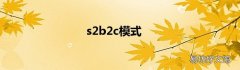 s2b2c模式