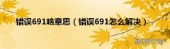 错误691怎么解决 错误691啥意思