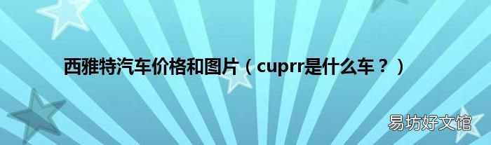 cuprr是什么车? 西雅特汽车价格和图片