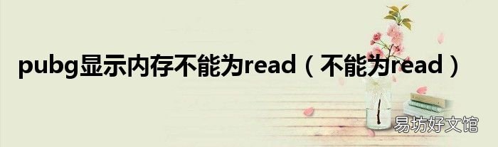 不能为read pubg显示内存不能为read
