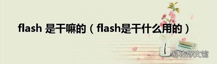 flash是干什么用的 flash 是干嘛的