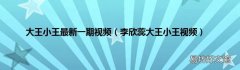 李欣蕊大王小王视频 大王小王最新一期视频
