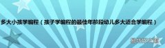 孩子学编程的最佳年龄段幼儿多大适合学编程 多大小孩学编程